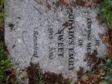 image of grave number 656819
